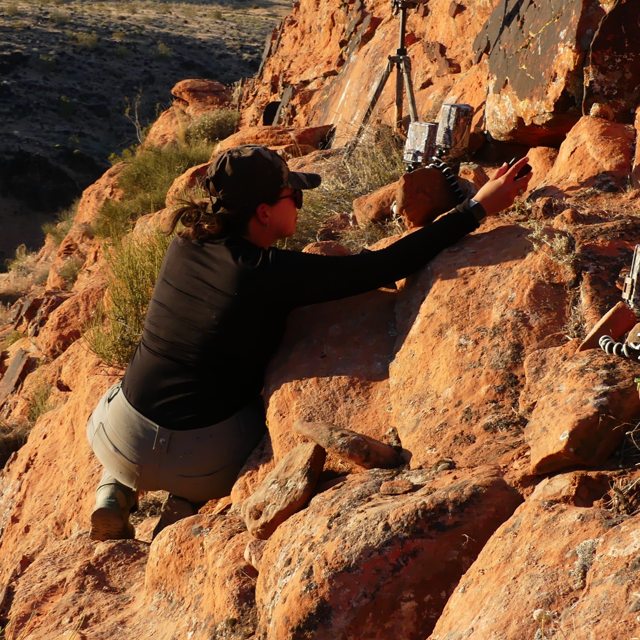 Sienna in the field 2