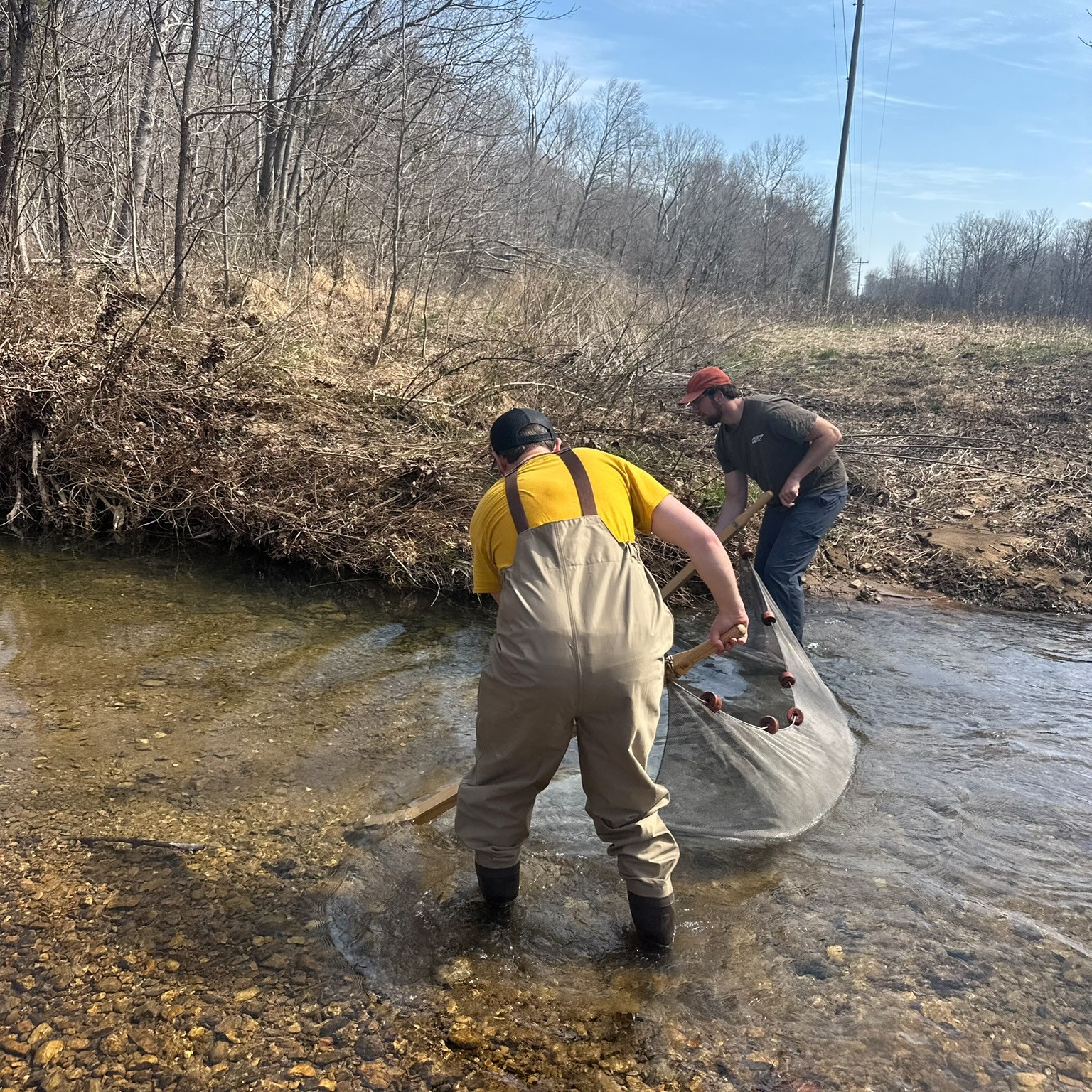 Two biologists completing a sein haul