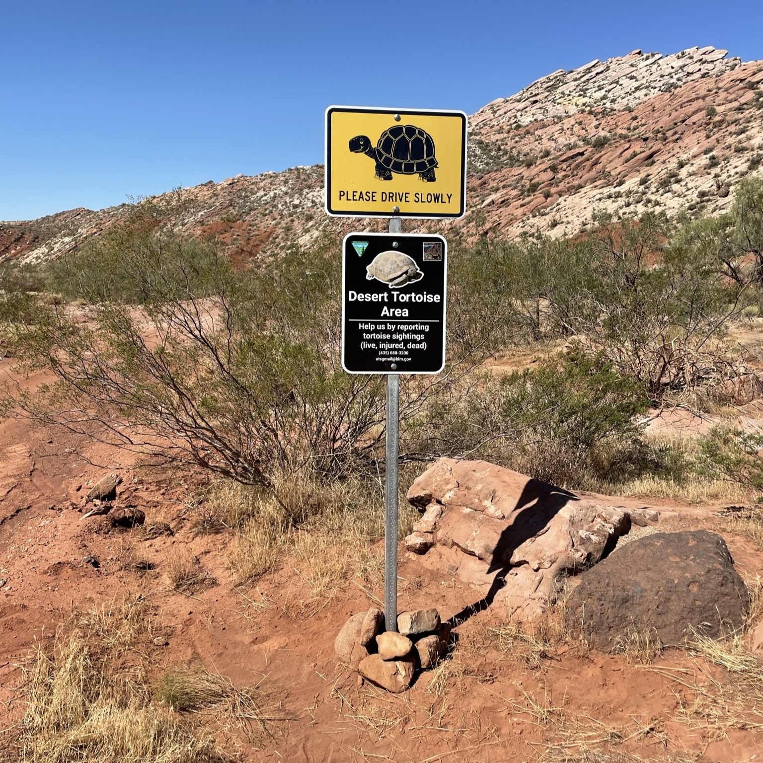 Toroise crossing sign on a trail